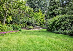 Optimiser l'expérience du jardin à Lignieres-sur-Aire